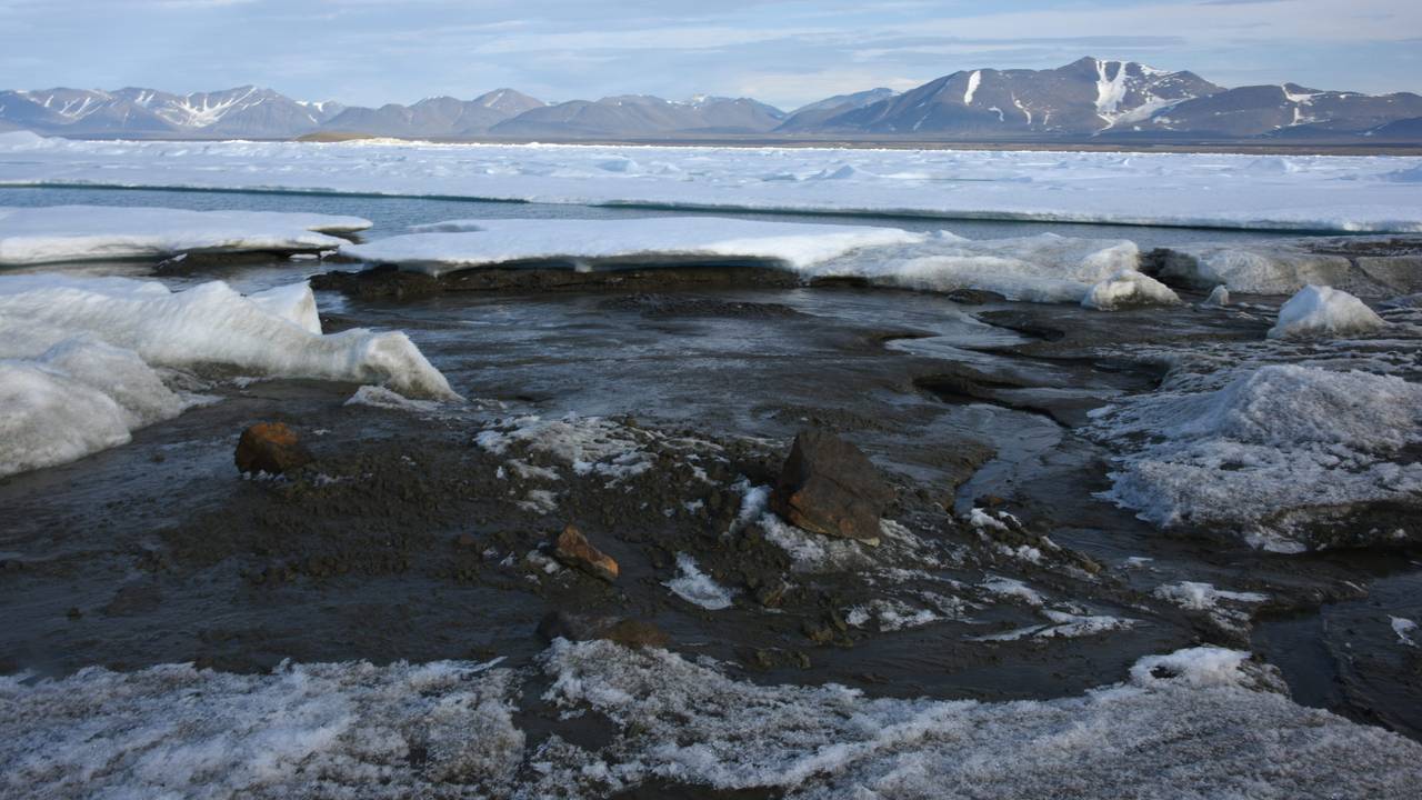 Das kleine noch unbenannte Eiland am nördlichsten Zipfel Grönlands ist möglicherweise die wohl nördlichste Insel der Welt. Entdeckt wurde sie von Forschern der Universität Kopenhagen. Doch die etwa 30 mal 60 Meter großen Insel hat womöglich nicht lange Bestand.