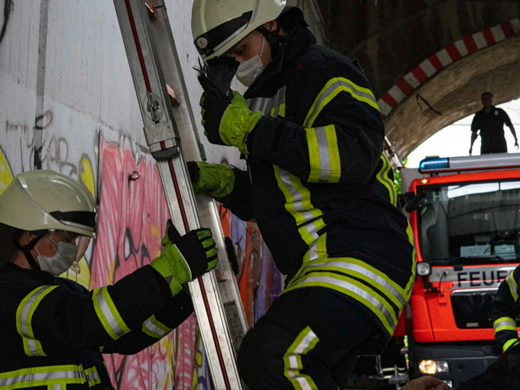 Ein Feuerwehrmann steigt von einer Leiter, in seiner Hand hält er eine Taube.