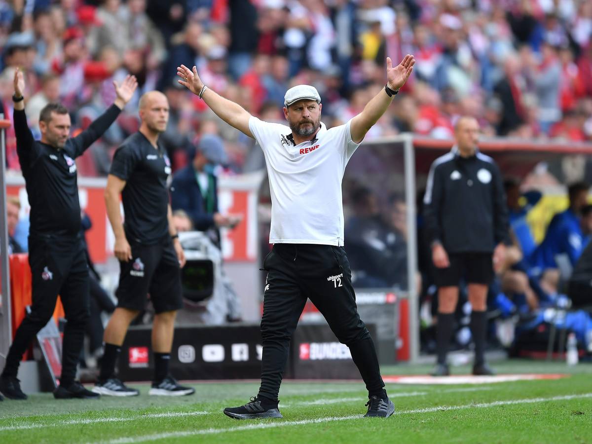 Steffen Baumgart, Trainer des 1. FC Köln und seine Trainerbank beim Spiel gegen den VfL Bochum.