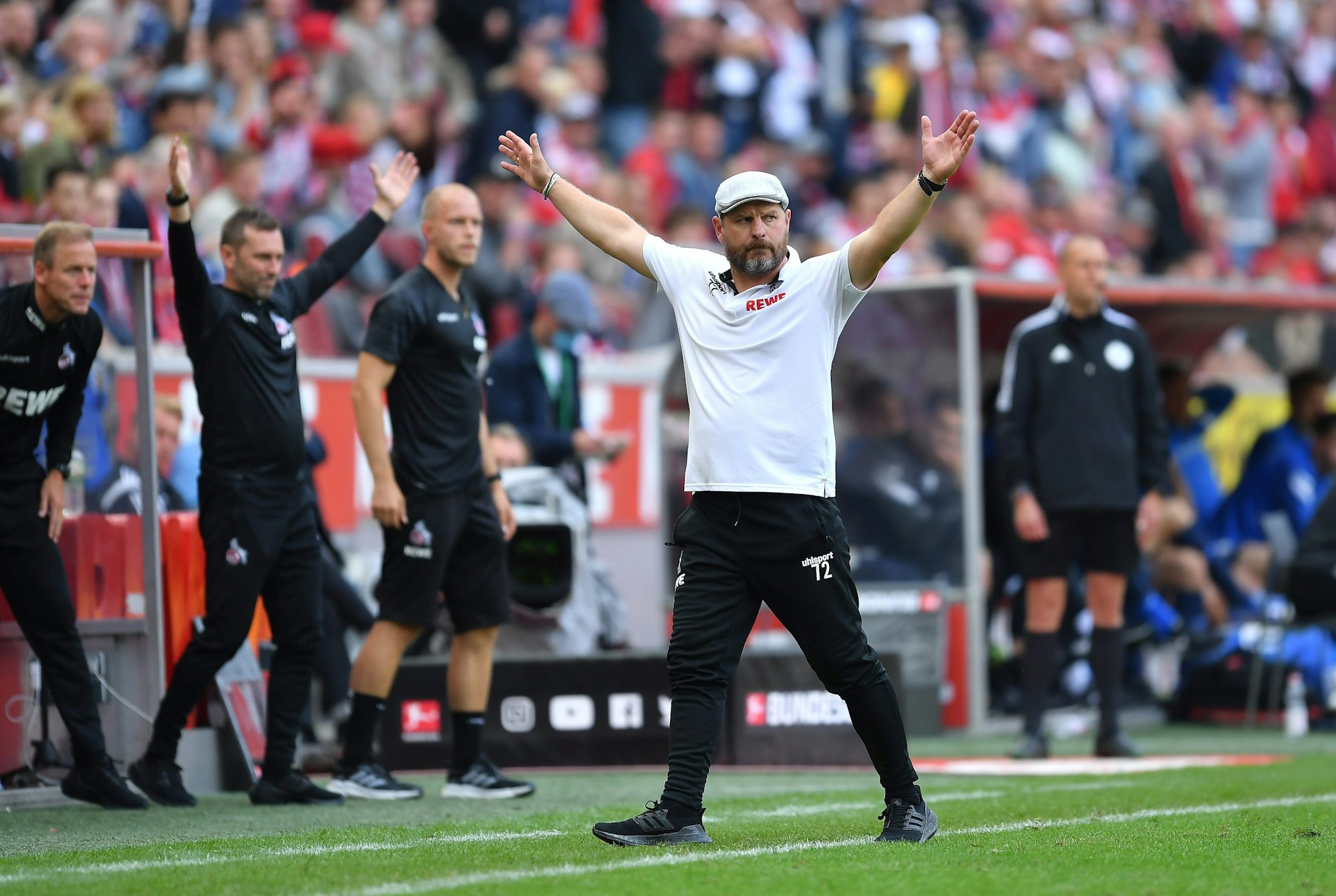 Steffen Baumgart, Trainer des 1. FC Köln und seine Trainerbank beim Spiel gegen den VfL Bochum.