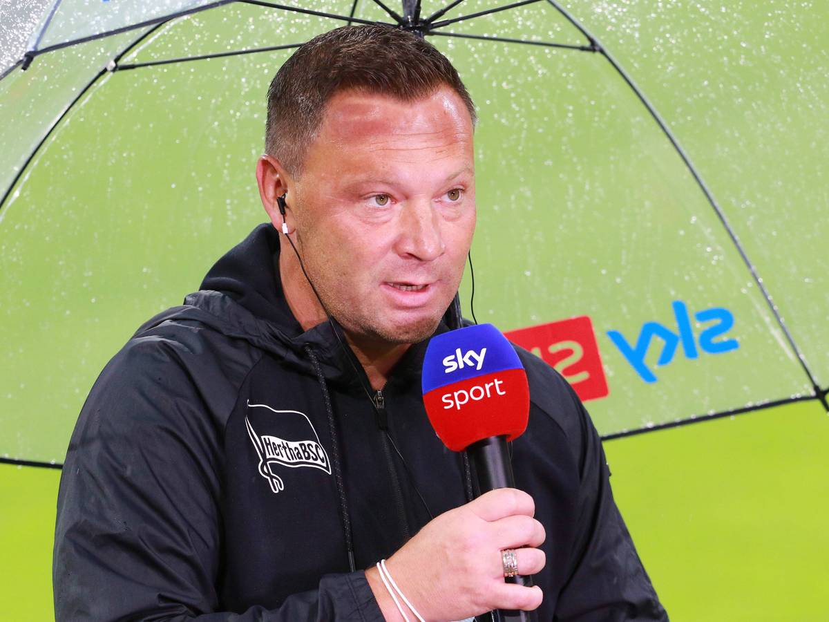 Pal Dardai steht mit einem Mikro unter einem Regenschirm.