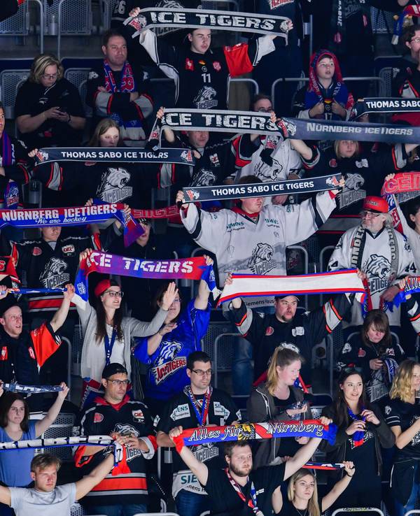 Fans der Nürnberg Ice Tigers halten ihre Schals in die Luft