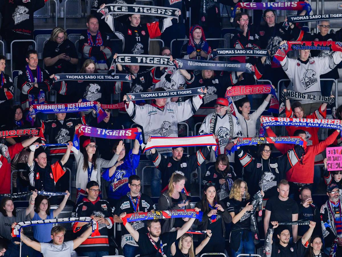 Fans der Nürnberg Ice Tigers halten ihre Schals in die Luft