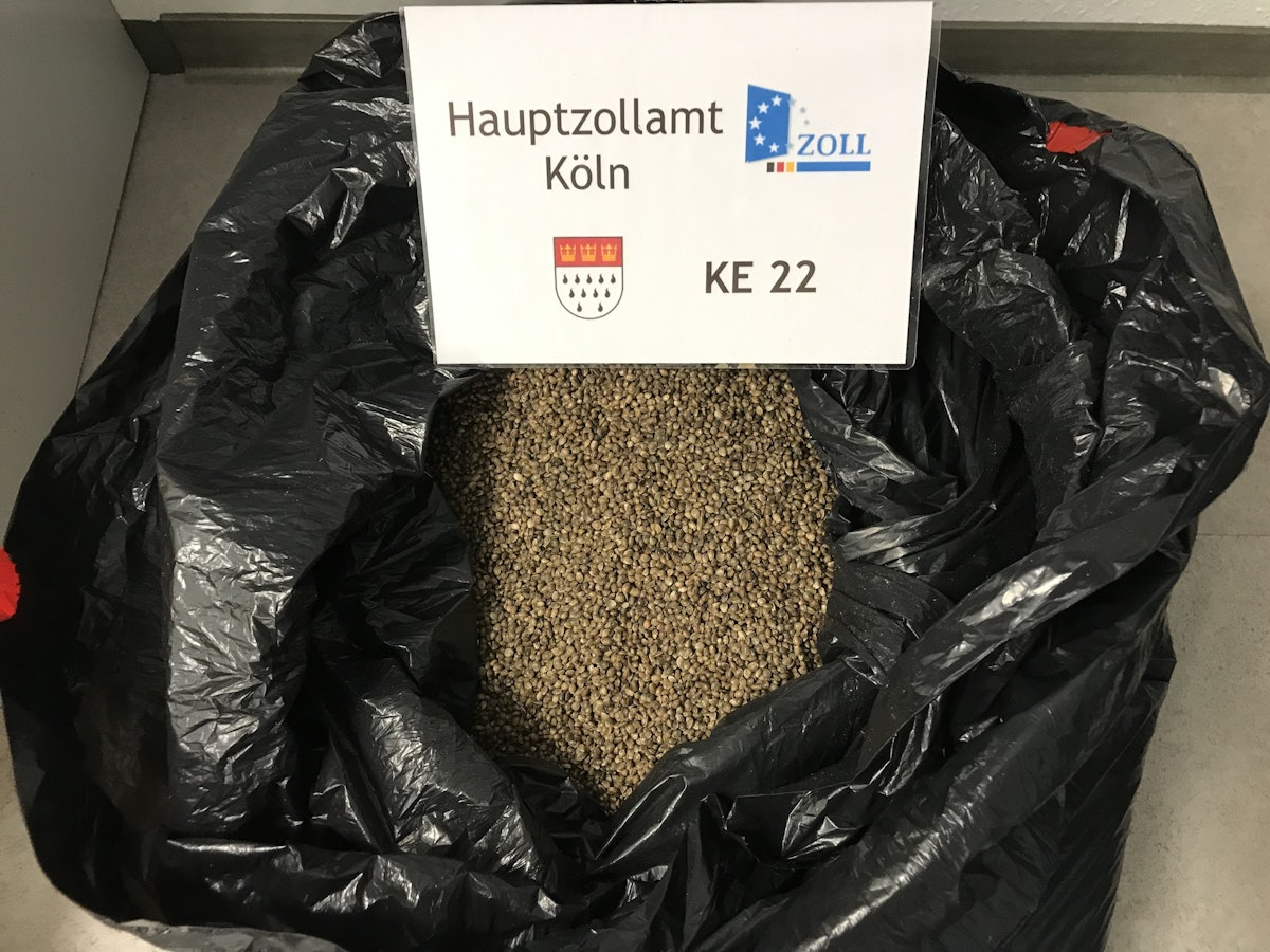 Eine große Menge Cannabissamen in einem schwarzen Müllsack.