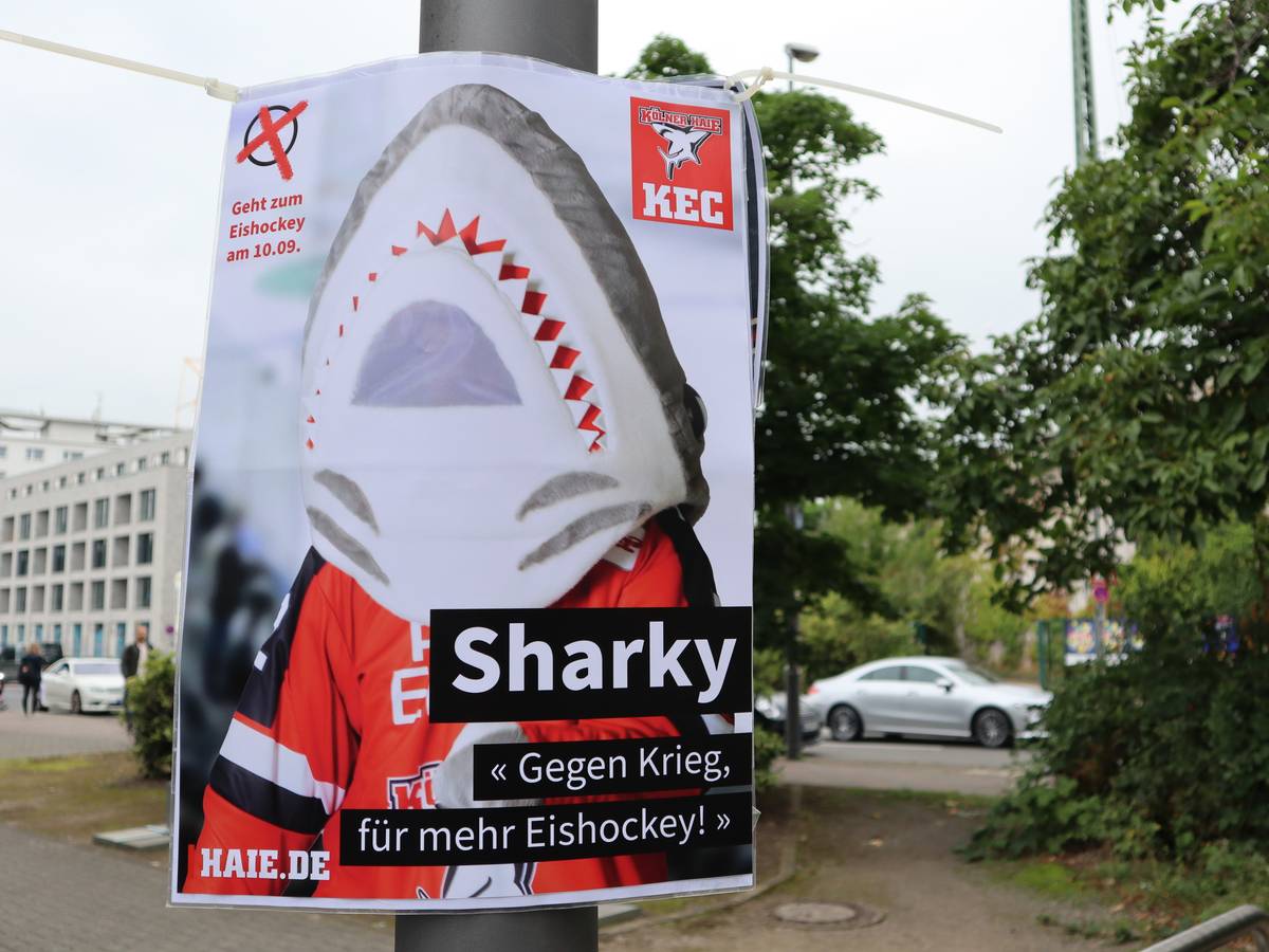 Sharky wirbt für den Start der Eishockey-Saison in Köln.