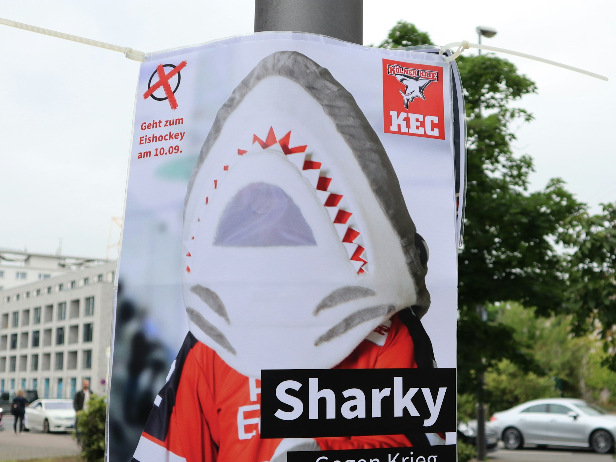 Sharky wirbt für den Start der Eishockey-Saison in Köln.