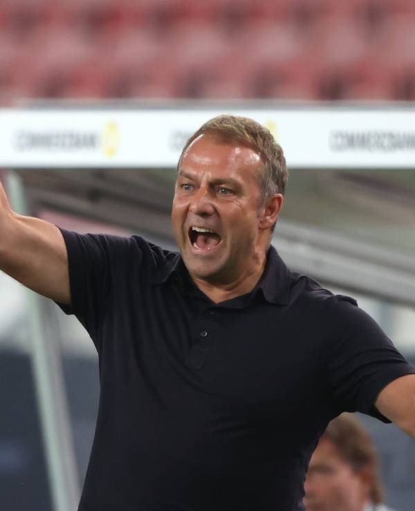 Bundestrainer Hansi Flick jubelt nach einem Tor seiner Mannschaft.