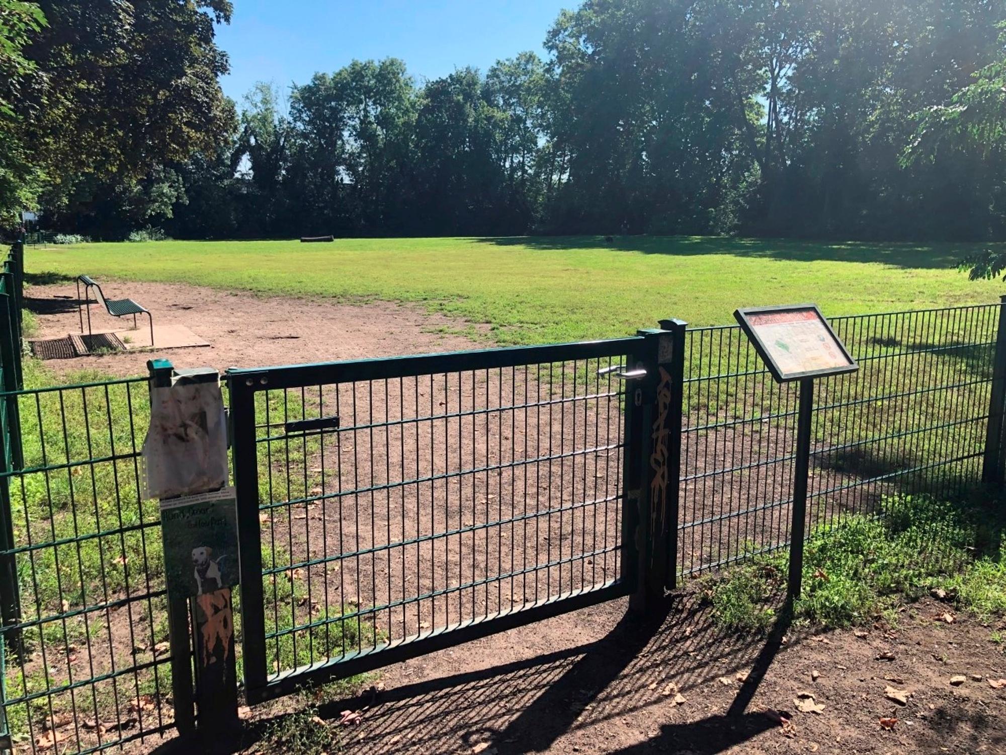 Die Hundefreilauffläche im Kölner Volksgarten.