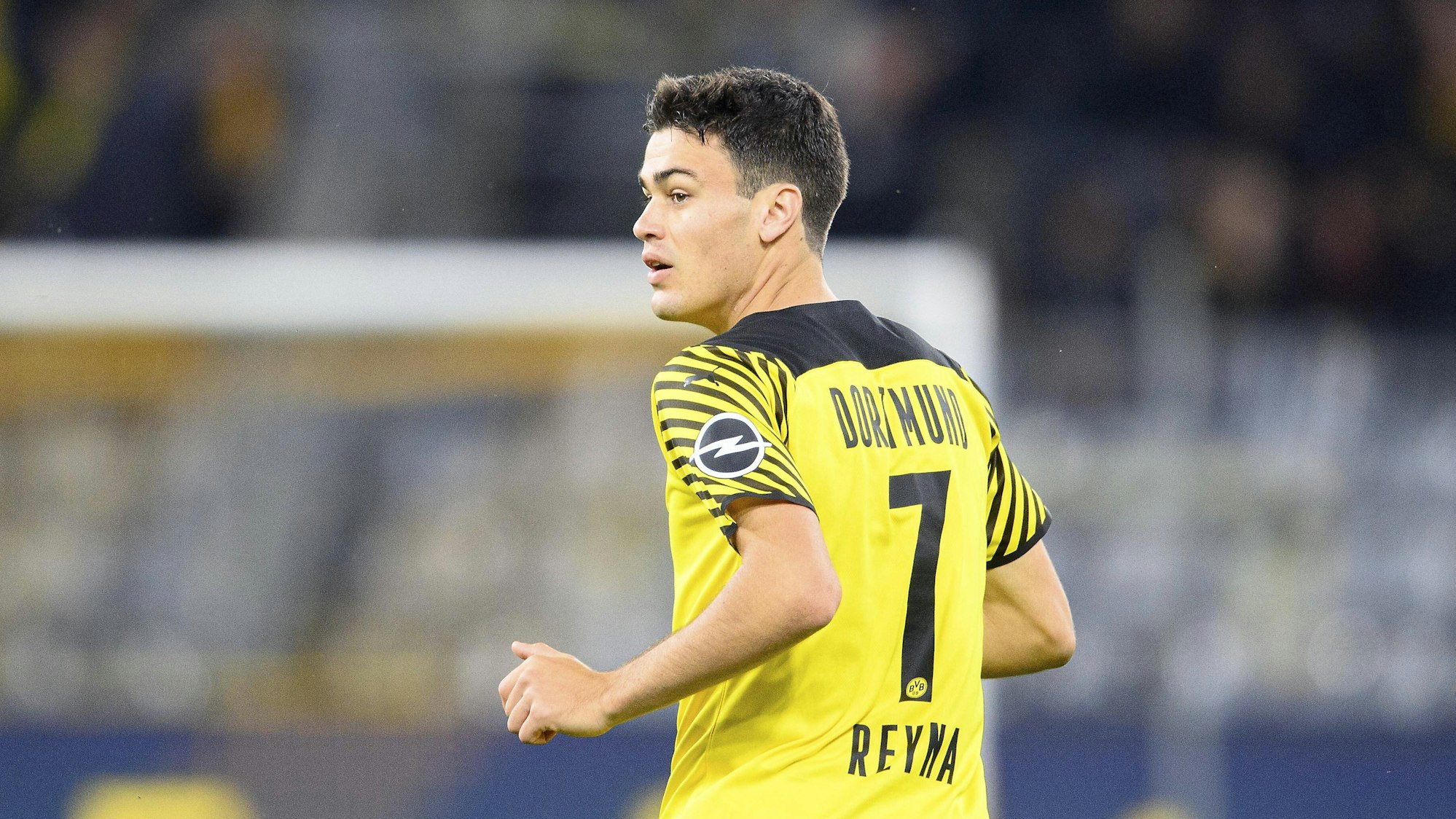 Reyna wendet der Kamera seinen Rücken zu und guckt zur Seite.