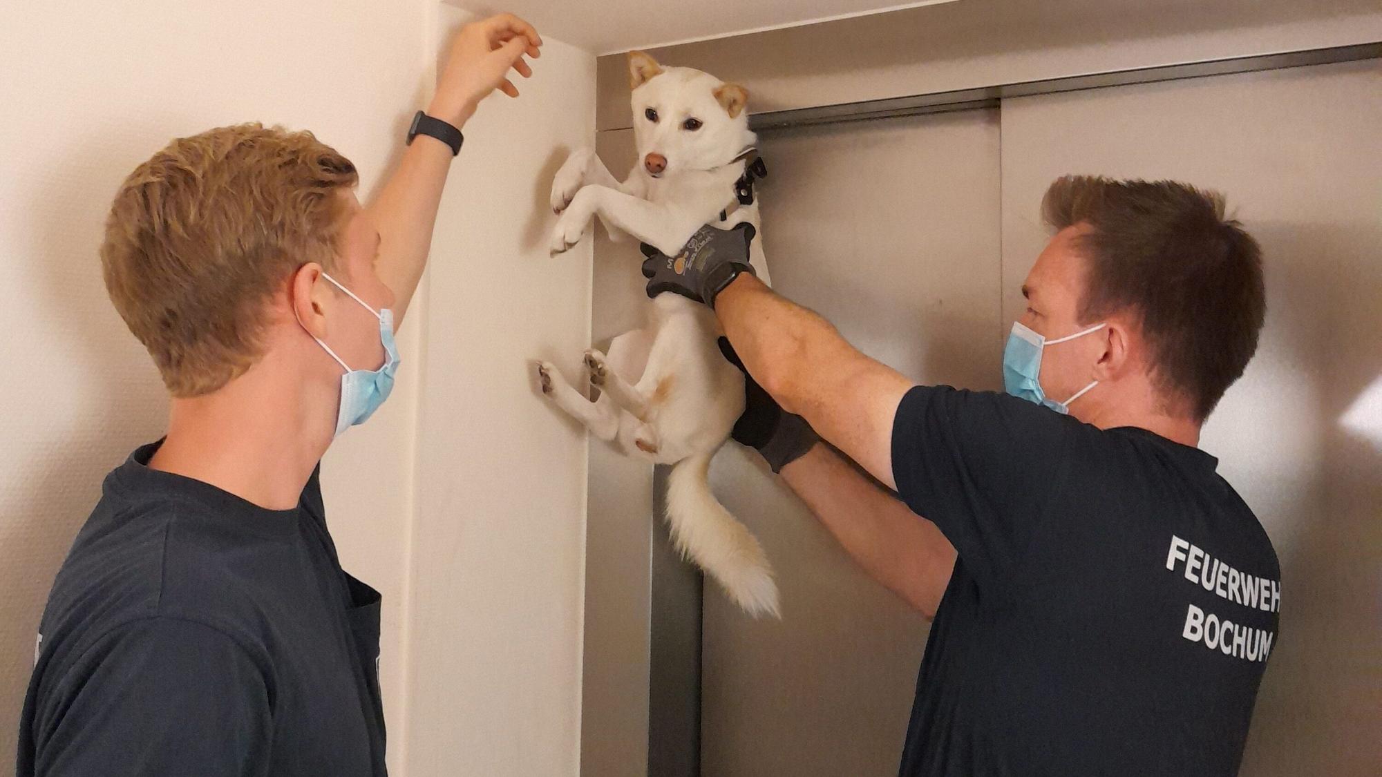 Zwei Feuerwehrmänner befreien am 6. September 2021 an einer Aufzugstür in Bochum einen Hund aus einer misslichen Lage.