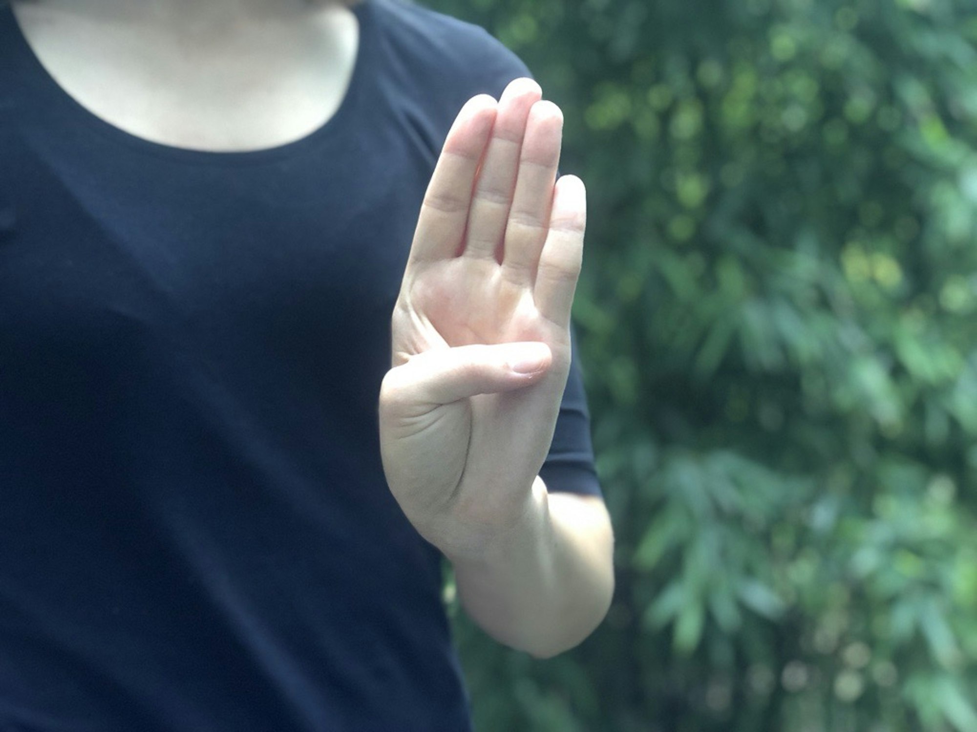 Die kanadische Stiftung für Frauen (Canadian Women's Foundation) hat diese Handbewegung initiiert, mithilfe derer Opfer häuslicher Gewalt in Videocalls ganz still zeigen können, dass sie Hilfe benötigen.