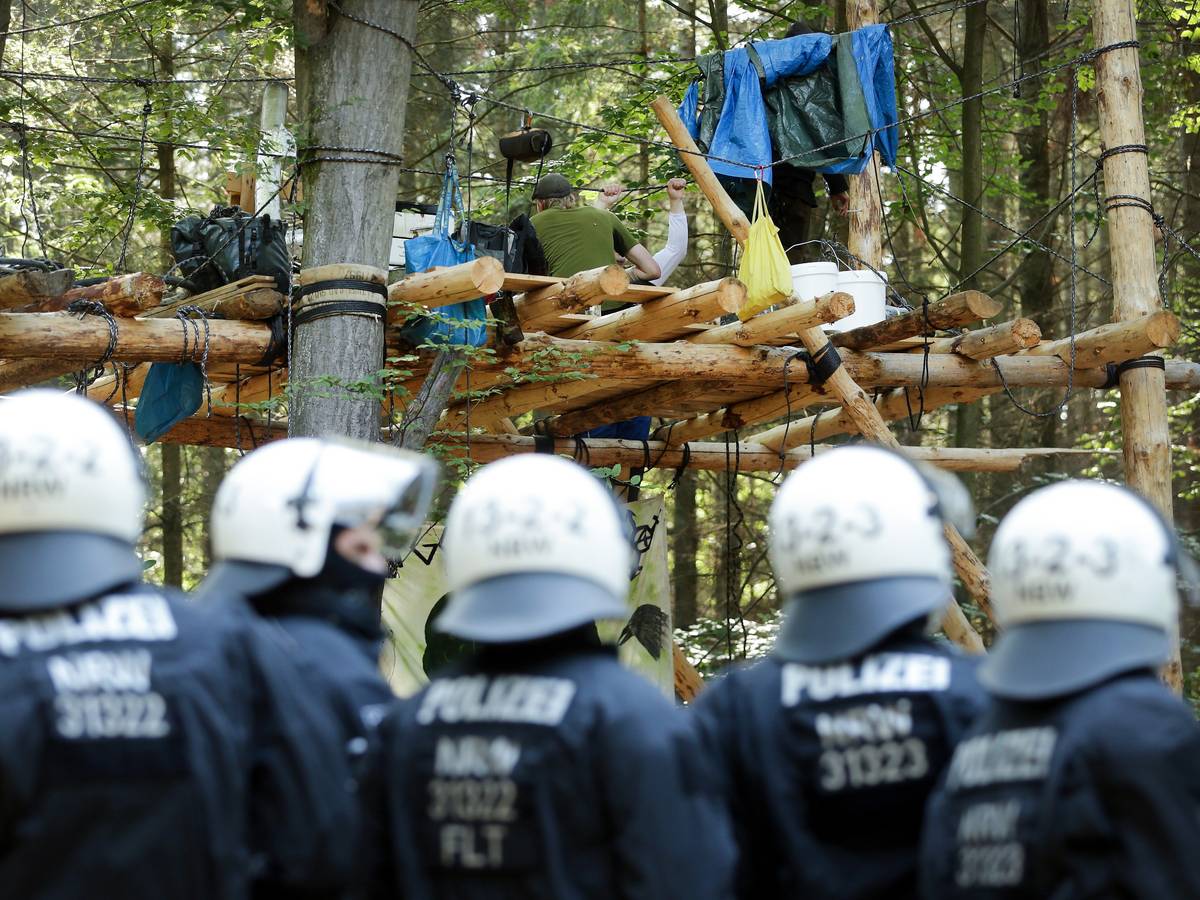 Polizisten stehen im Hambacher Forst vor einer Plattform zwischen Bäumen.