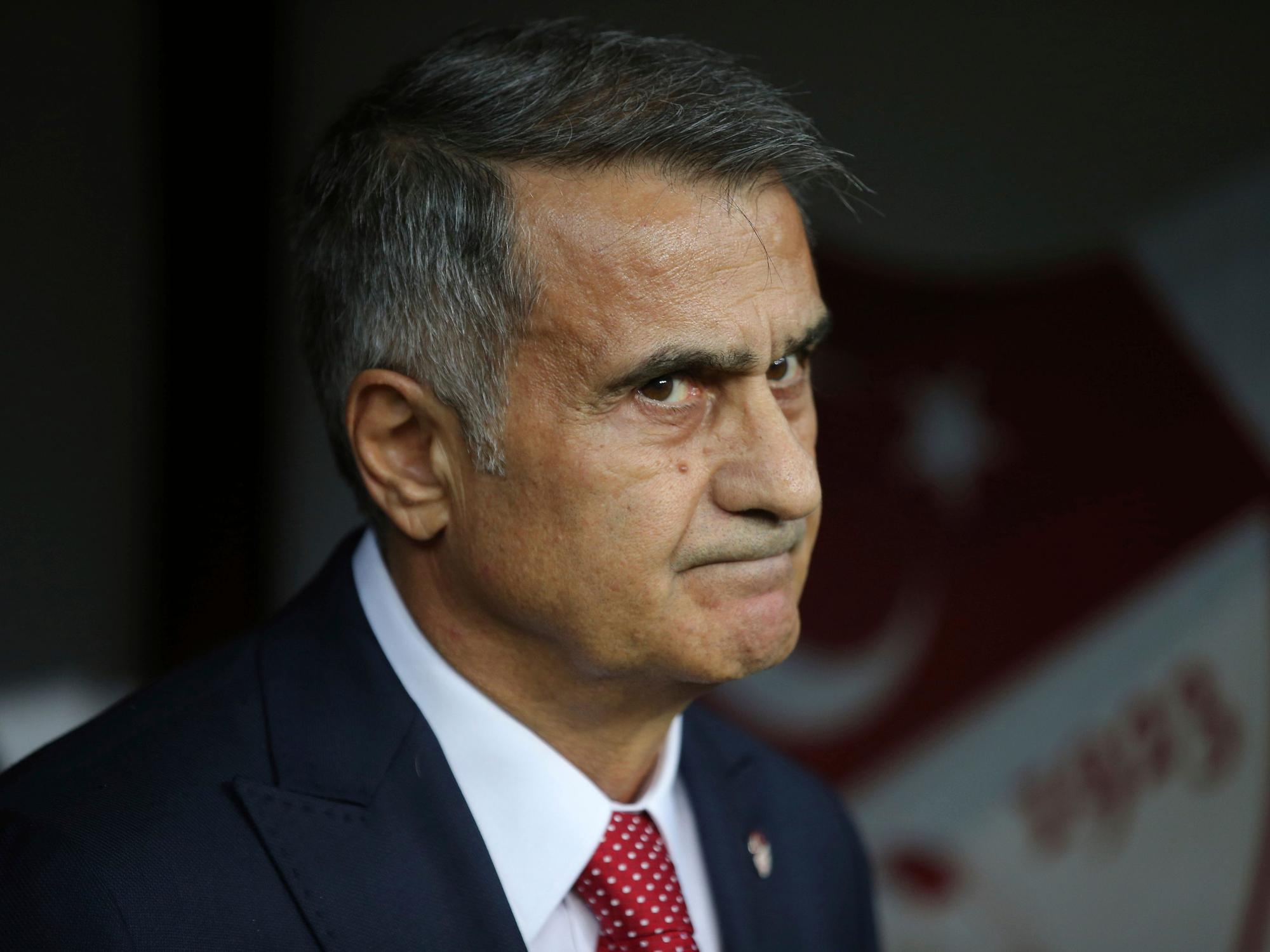 Senol Günes, damaliger Trainer der Türkei, beobachtet das Spiel gegen Island.