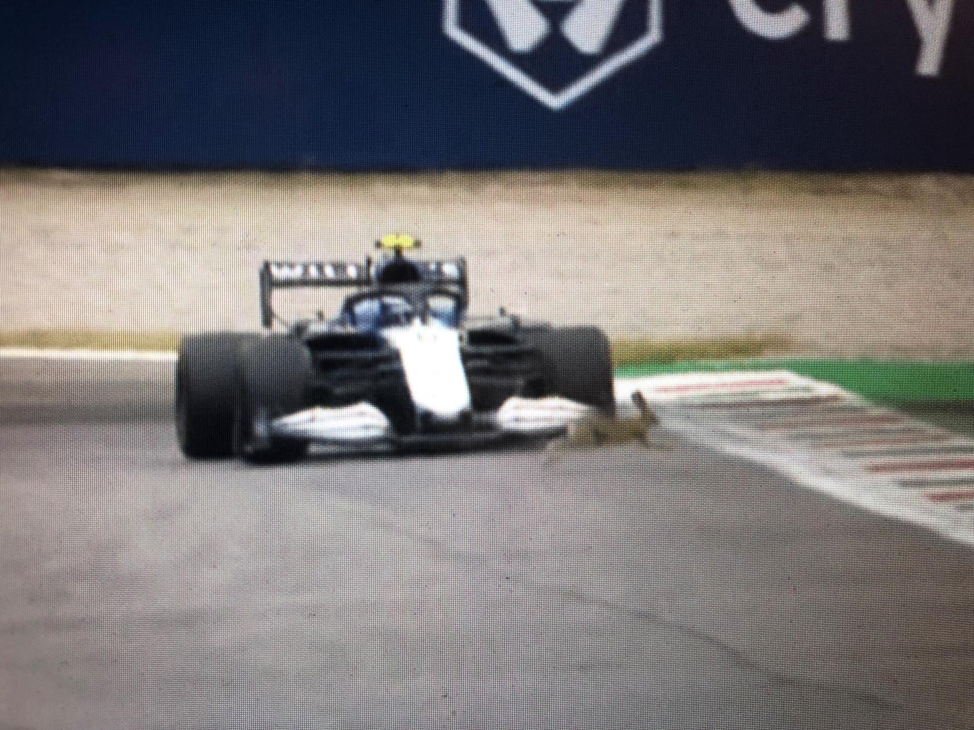 Williams-Schock: Ein Hase hoppelte vor das Auto von Latifi am 10. September 2021 in Monza.