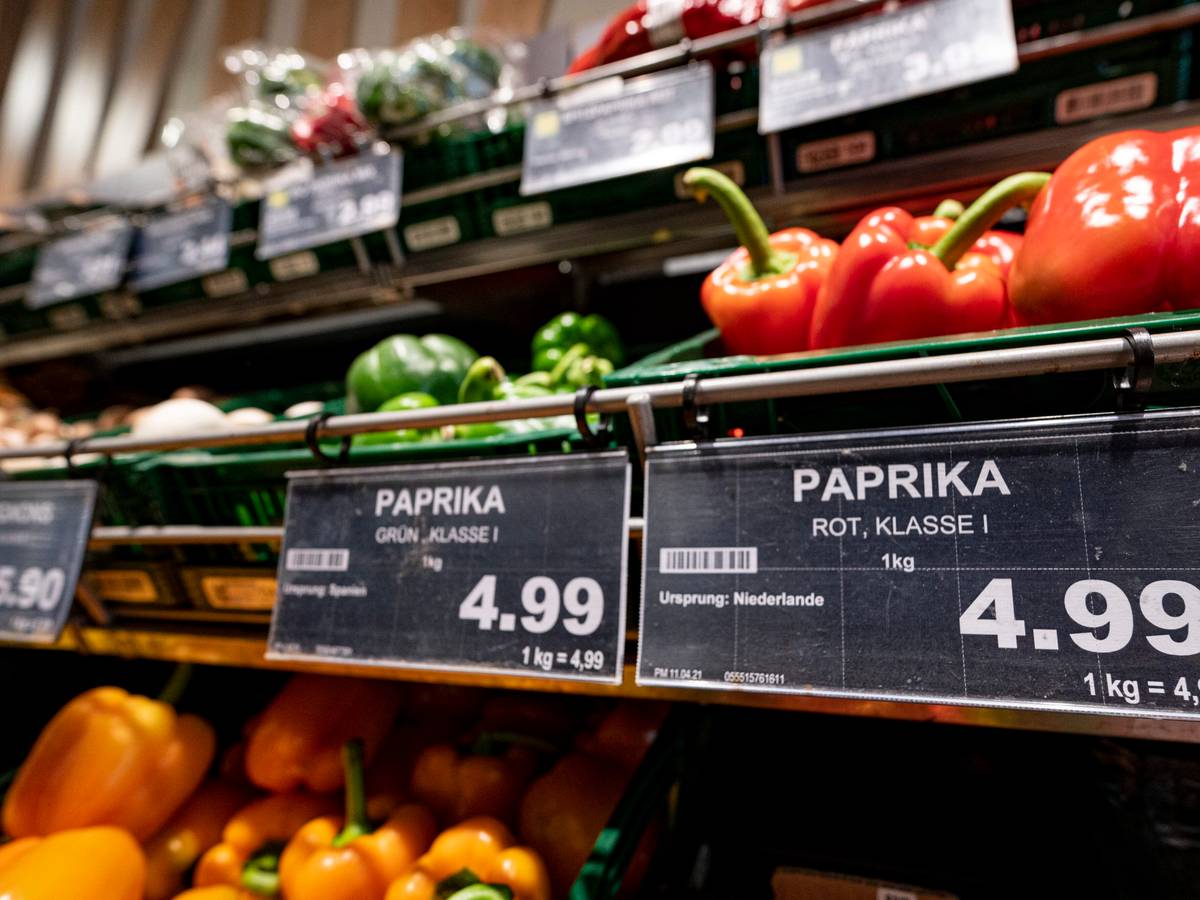 Obst und Gemüse im Supermarkt probieren ist nicht erlaubt. Preisschilder von Paprikas hängen an der Gemüsetheke in einem Supermarkt.