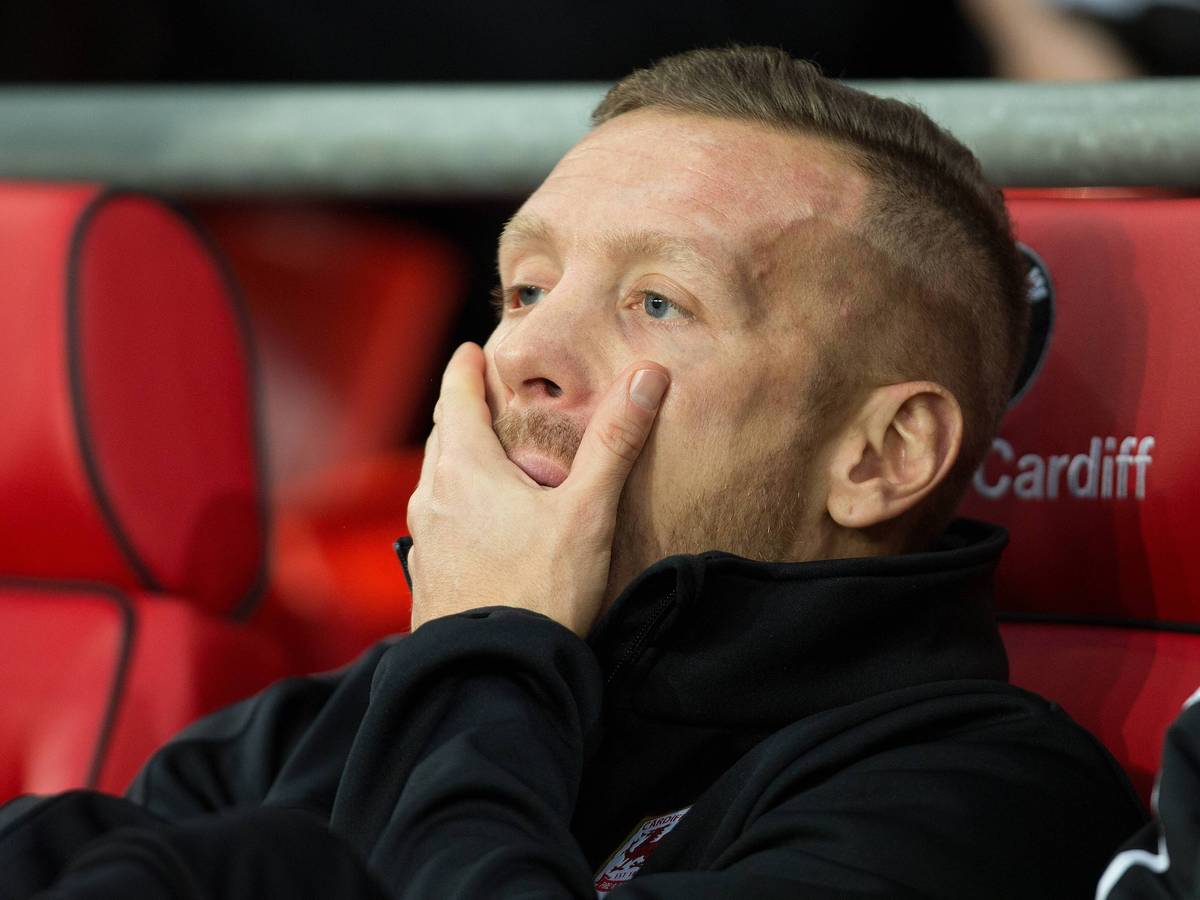 Craig Bellamy schaut verzweifelt.