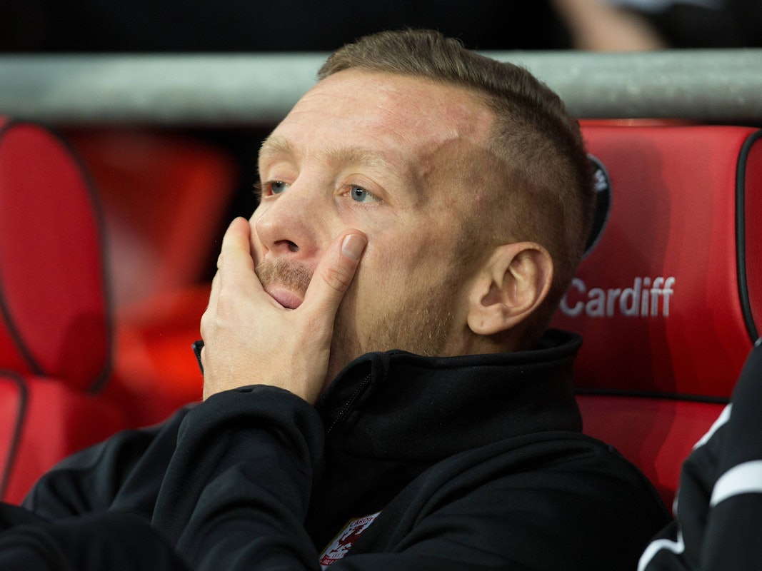 Craig Bellamy schaut verzweifelt.