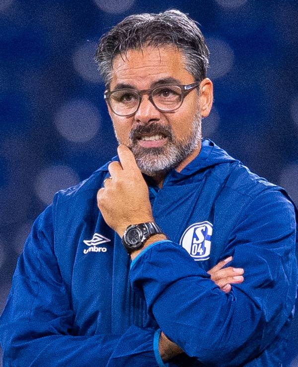 Schalkes damaliger Trainer David Wagner steht beim Spiel gegen Bremen an der Seitenlinie.