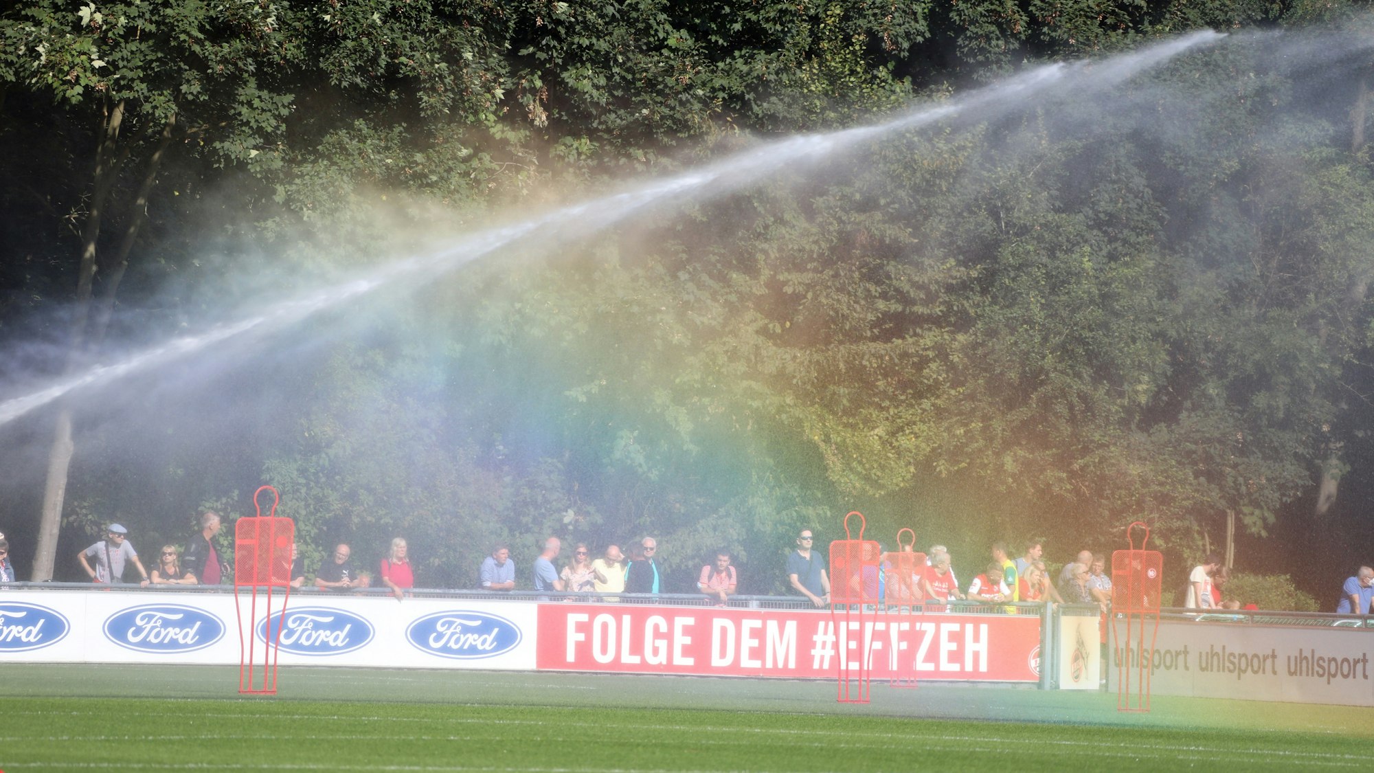 Fans beobachten das Training des 1. FC Köln.