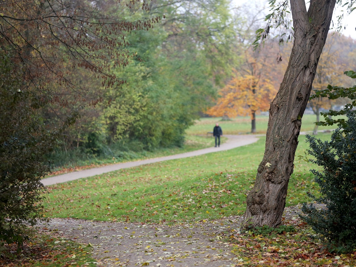 Blick in ein Waldstück, im Hintergrund Fußgänger.