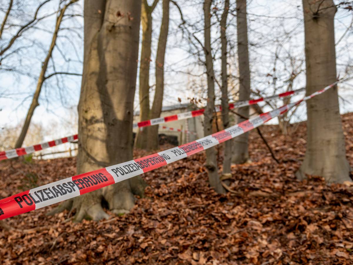Ein Flatterband der Polizei ist als Absperrung um mehrere Bäume in einem Waldstück gewickelt.