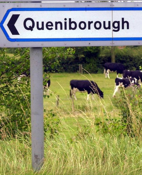 Kühe stehen auf einer Weide in der englischen Ortschaft Queniborough, bekannt als „BSE-Dorf“.