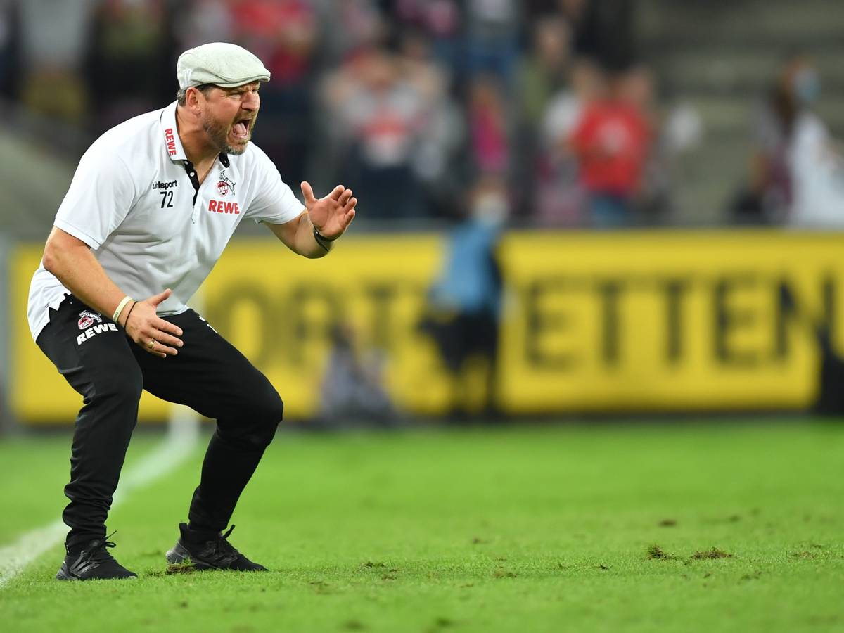 Kölns Trainer Steffen Baumgart gibt Anweisungen.