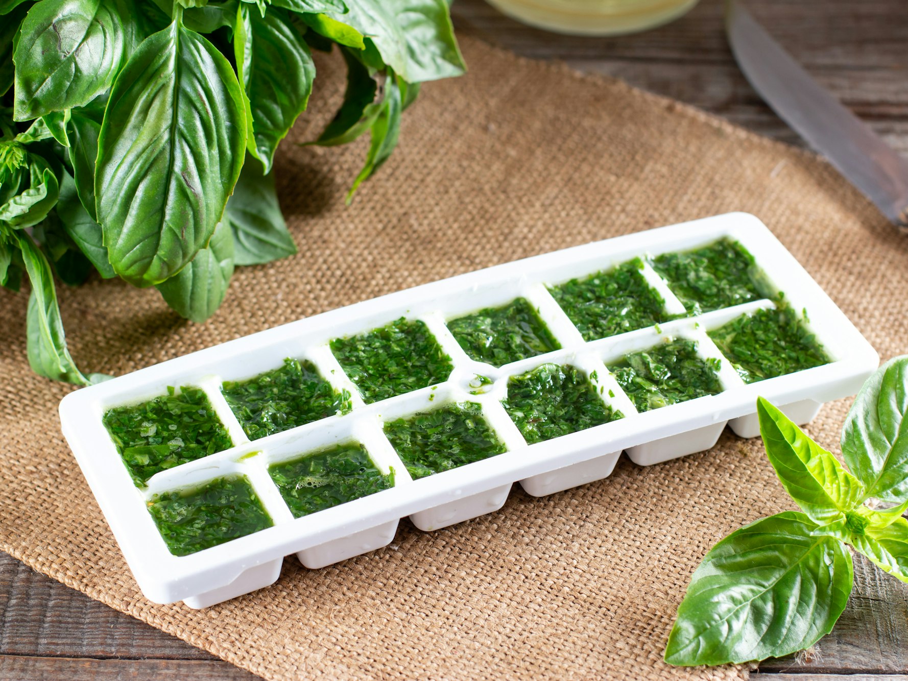 Basilikum kann auf verschiedene Arten haltbar gemacht werden. Mit der richtigen Vorbereitung lässt er sich auch einfrieren.