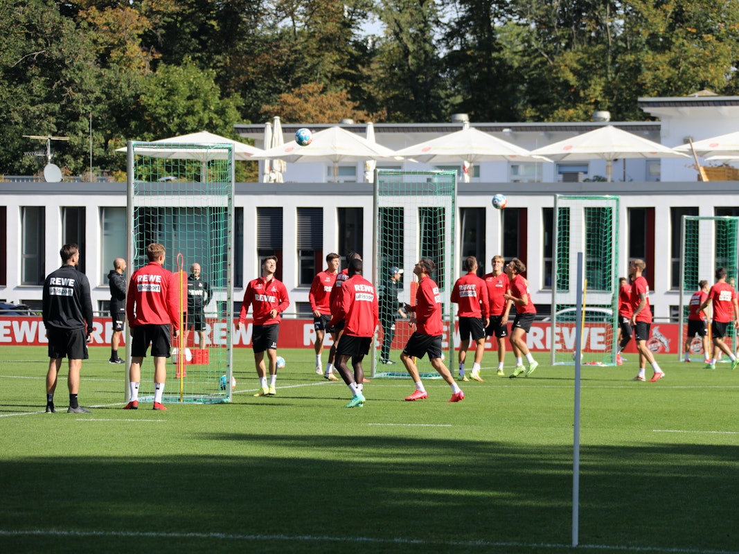 Der 1. FC Köln trainiert am Geißbockheim.