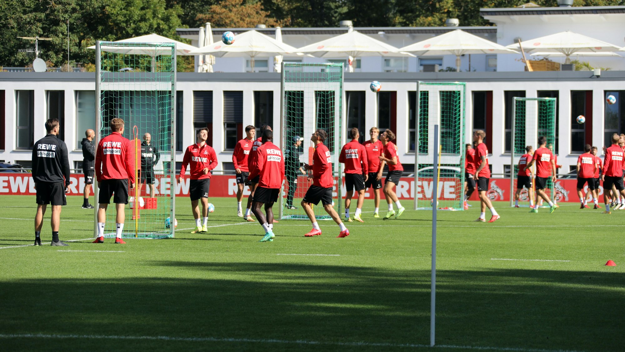 Der 1. FC Köln trainiert am Geißbockheim.