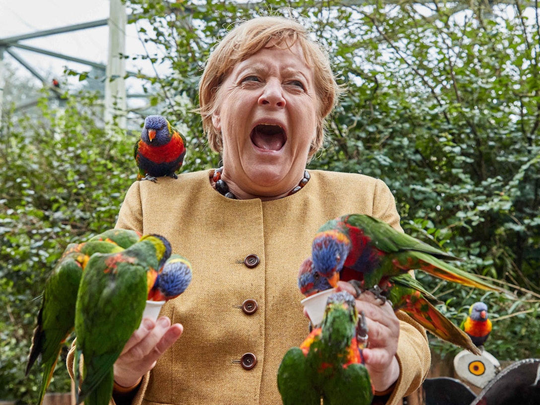 Angela Merkel (CDU), Bundeskanzlerin, füttert australische Loris im Vogelpark Marlow und wird dabei gebissen. +++ dpa-Bildfunk +++