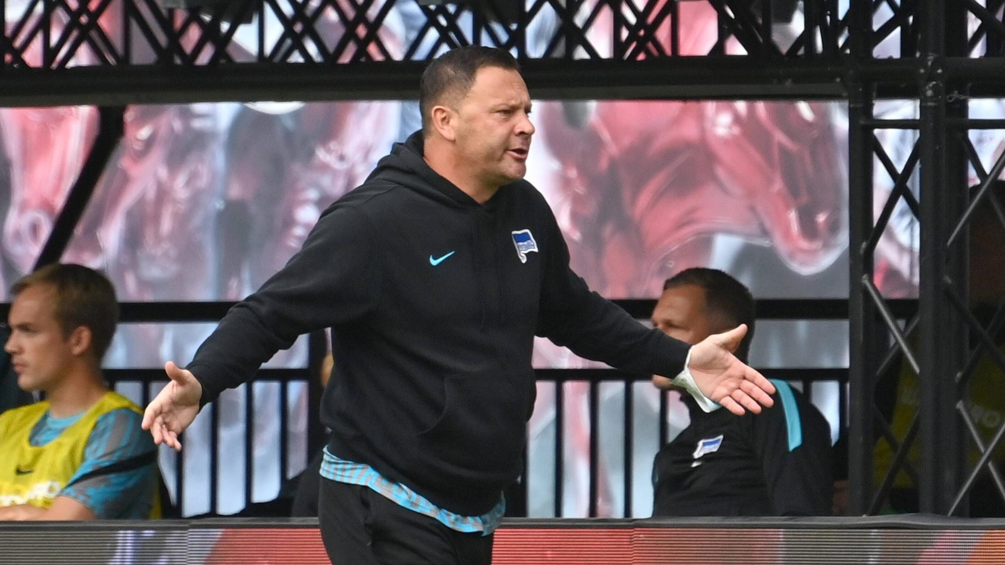 Pal Dardai an der Seitenlinie