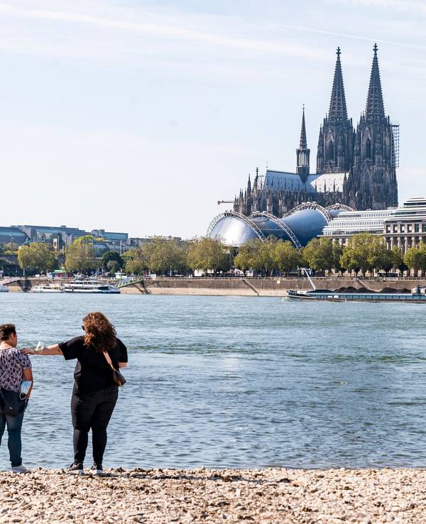 Spaziergänger am Rhein bei Köln (23. September 2021). Im Zufluss der Sieg wurde jetzt ein Maifisch gesichtet.