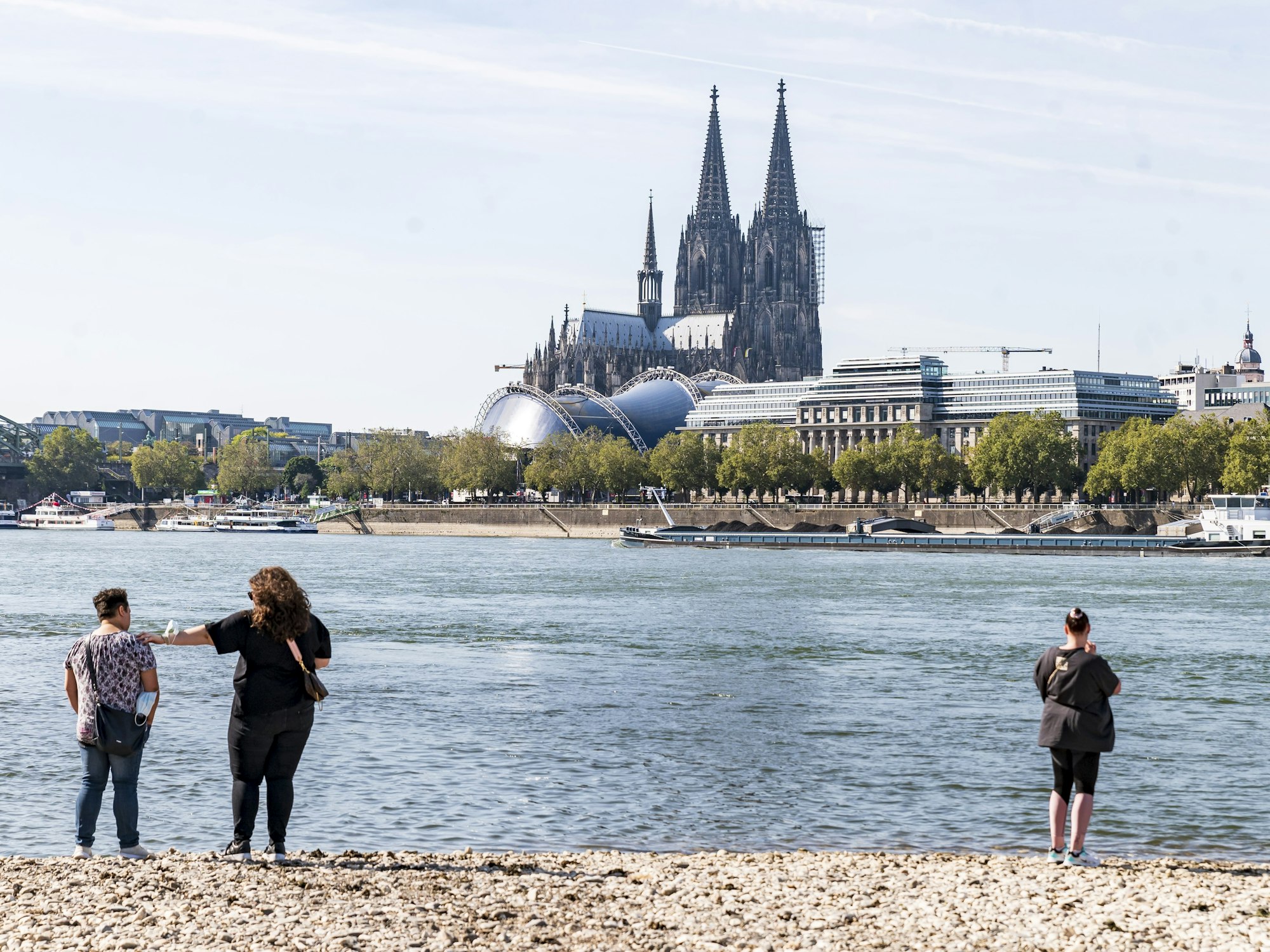 Spaziergänger am Rhein bei Köln (23. September 2021). Im Zufluss der Sieg wurde jetzt ein Maifisch gesichtet.