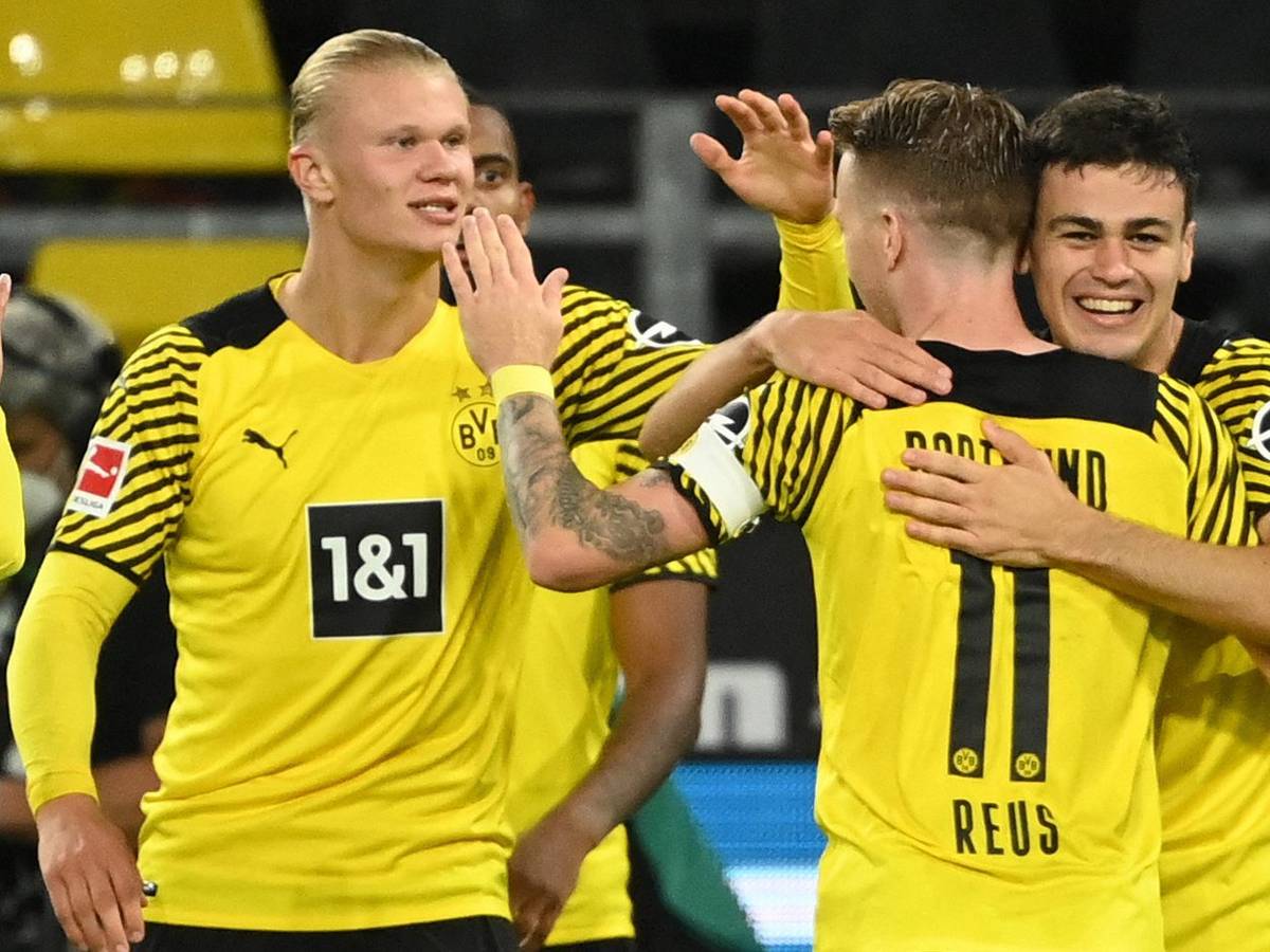 Erling Haaland, Marco Reus und Giovanni Reyna bejubeln ein Tor von Borussia Dortmund in der Bundesliga.