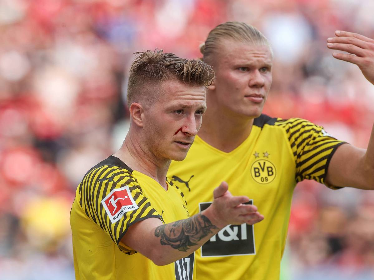 Marco Reus und Erling Haaland gestikulieren während eines BVB-Spiels.