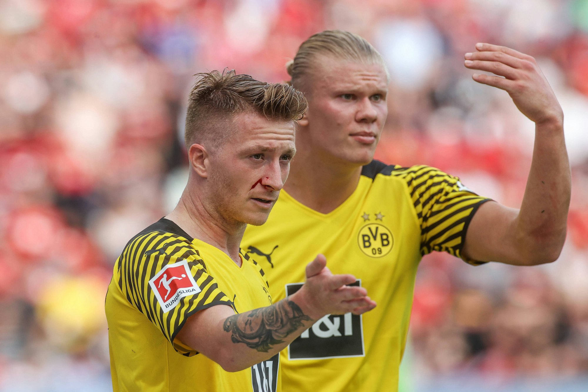 Marco Reus und Erling Haaland gestikulieren während eines BVB-Spiels.