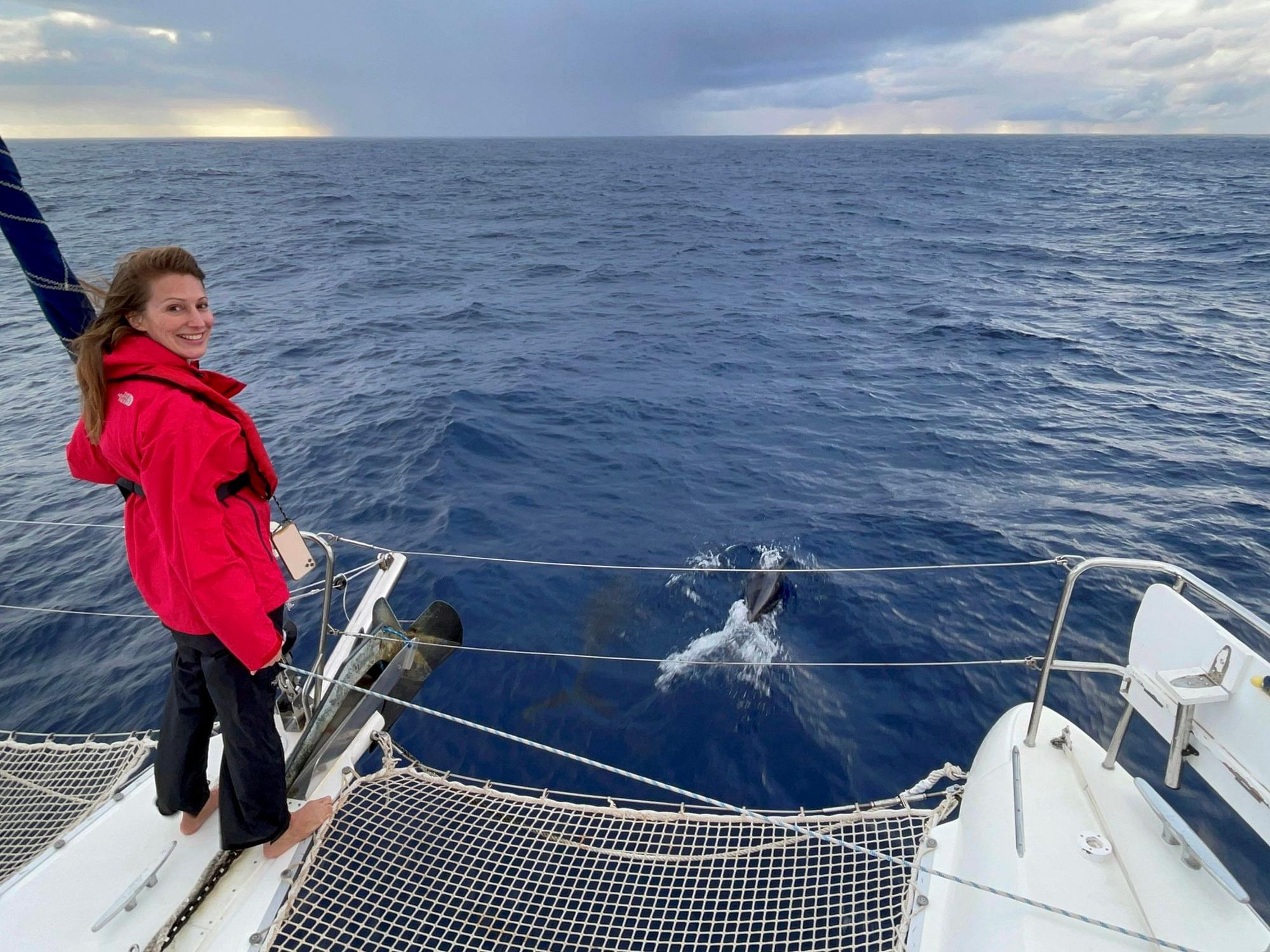 Mara Bergmann steht auf einem Katamaran, vor ihr schwimmen Delfine im Meer.
