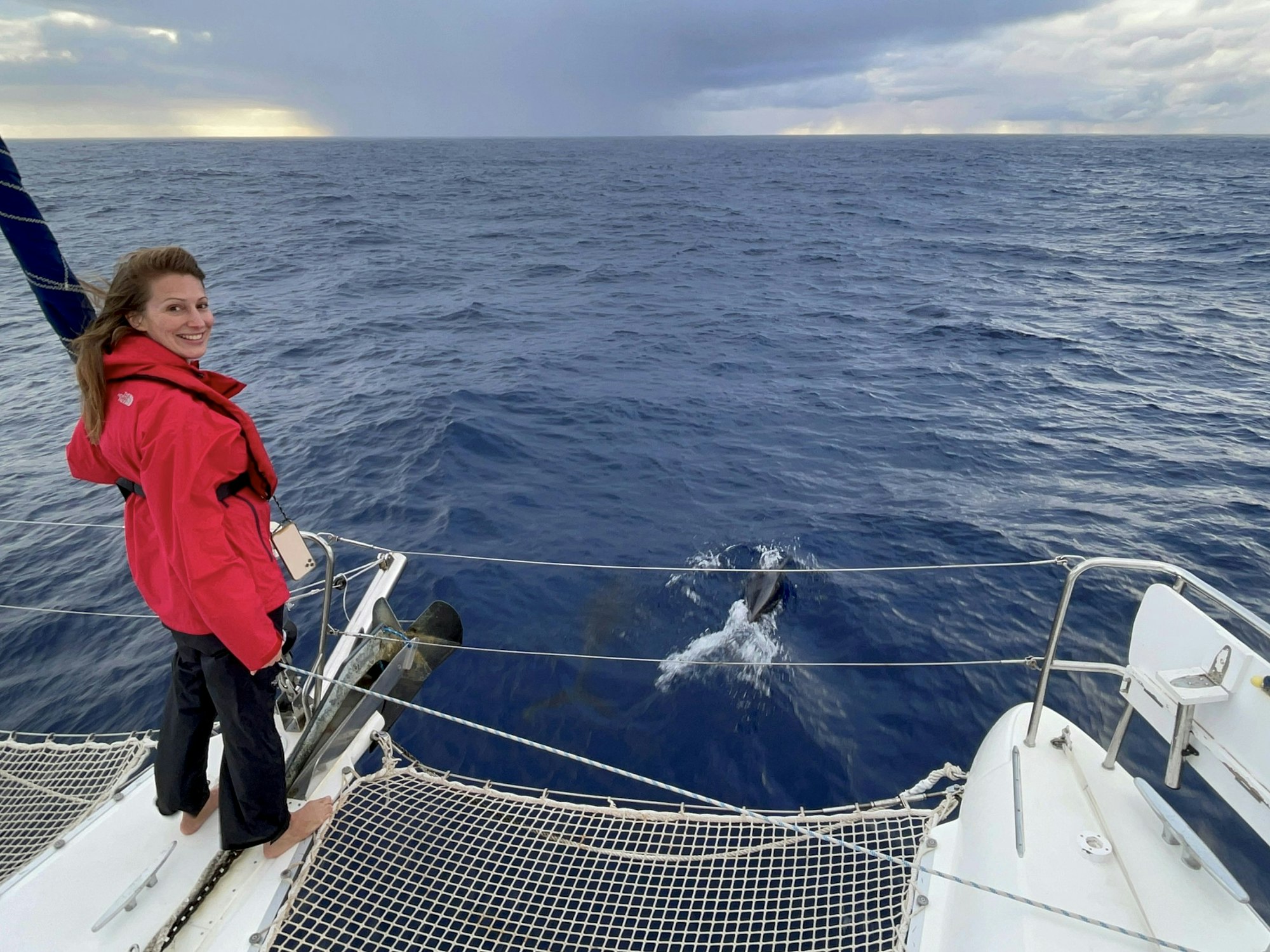 Mara Bergmann steht auf einem Katamaran, vor ihr schwimmen Delfine im Meer.