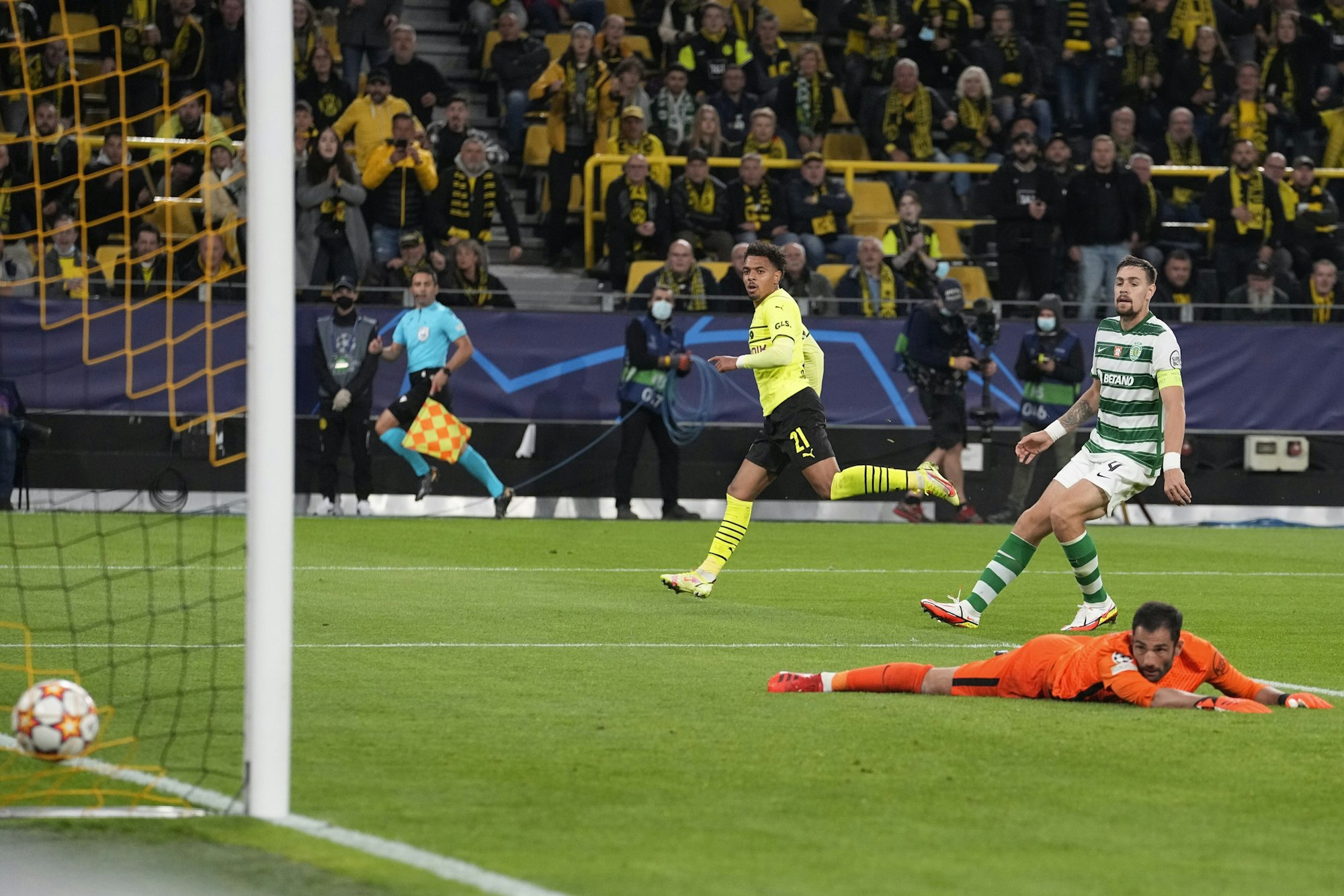 Donyell Malen (BVB) trifft in der Champions League gegen Sporting Lissabon.