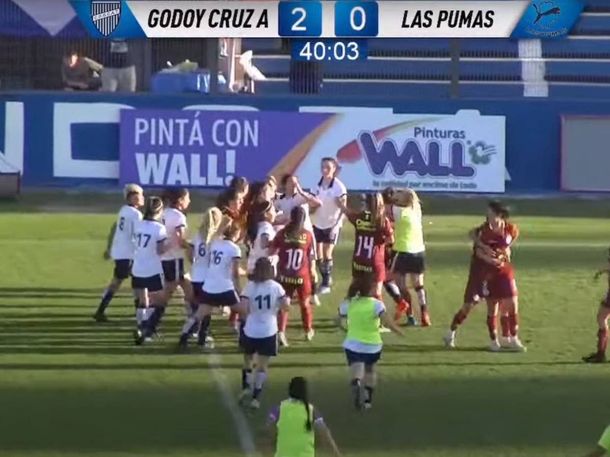 Im Frauen-Fußballspiel zwischen Godoy Cruz und Las Pumas in Argentinien liefern sich die Spielerinnen eine wilde Prügelei.