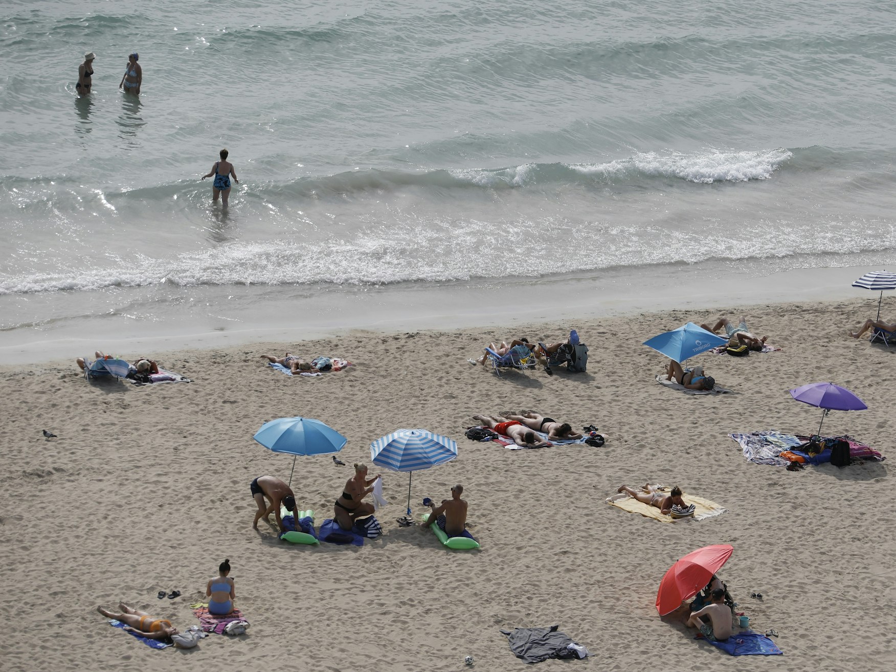 Im Meer vor Palma de Mallorca (hier ein Archivfoto) ist eine Leiche entdeckt worden.