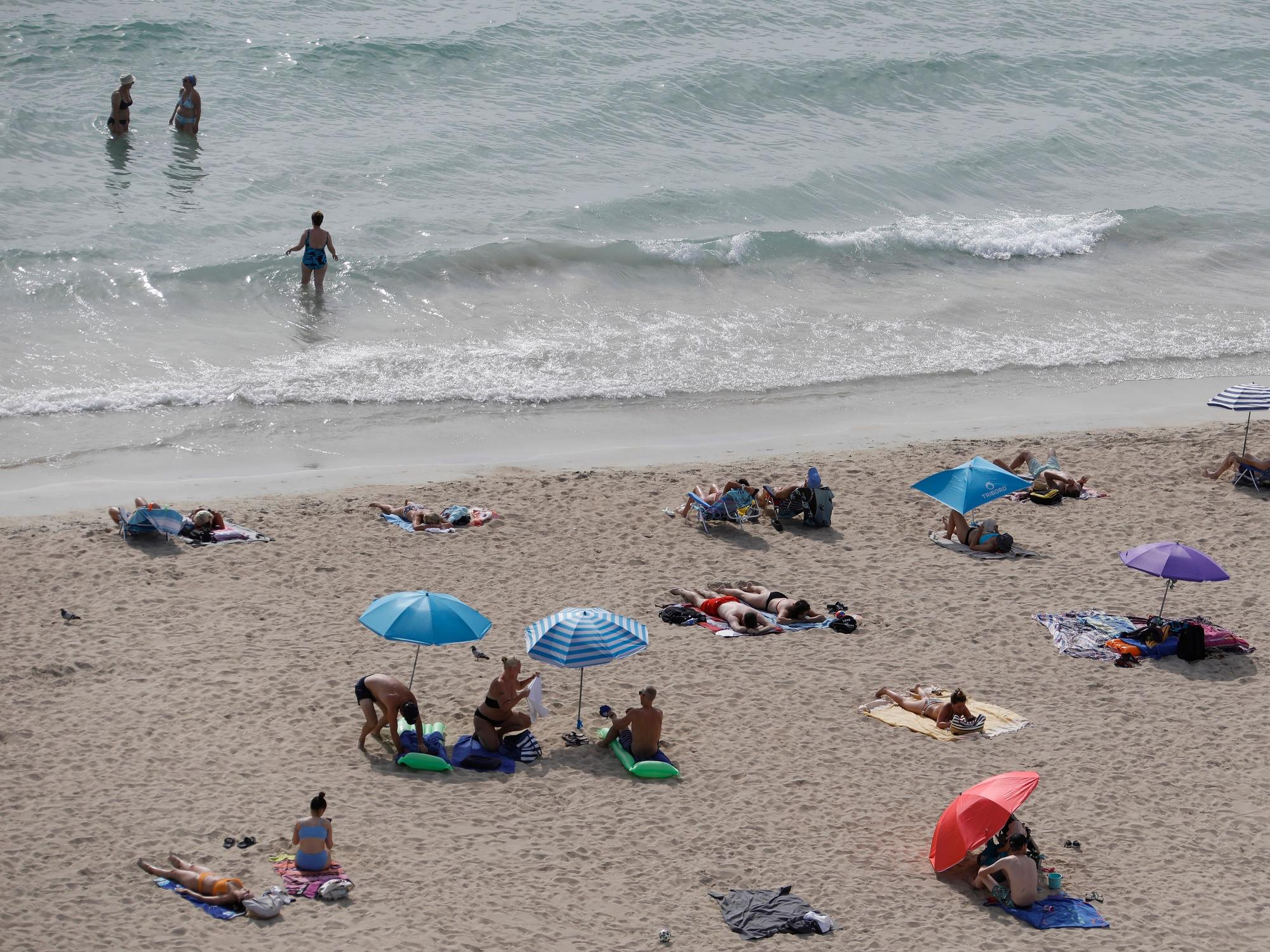Im Meer vor Palma de Mallorca (hier ein Archivfoto) ist eine Leiche entdeckt worden.