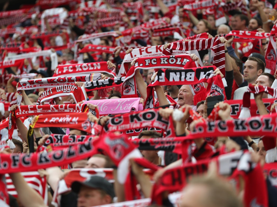 Fans des 1. FC Köln halten beim Spiel gegen Bochum die Schals hoch.