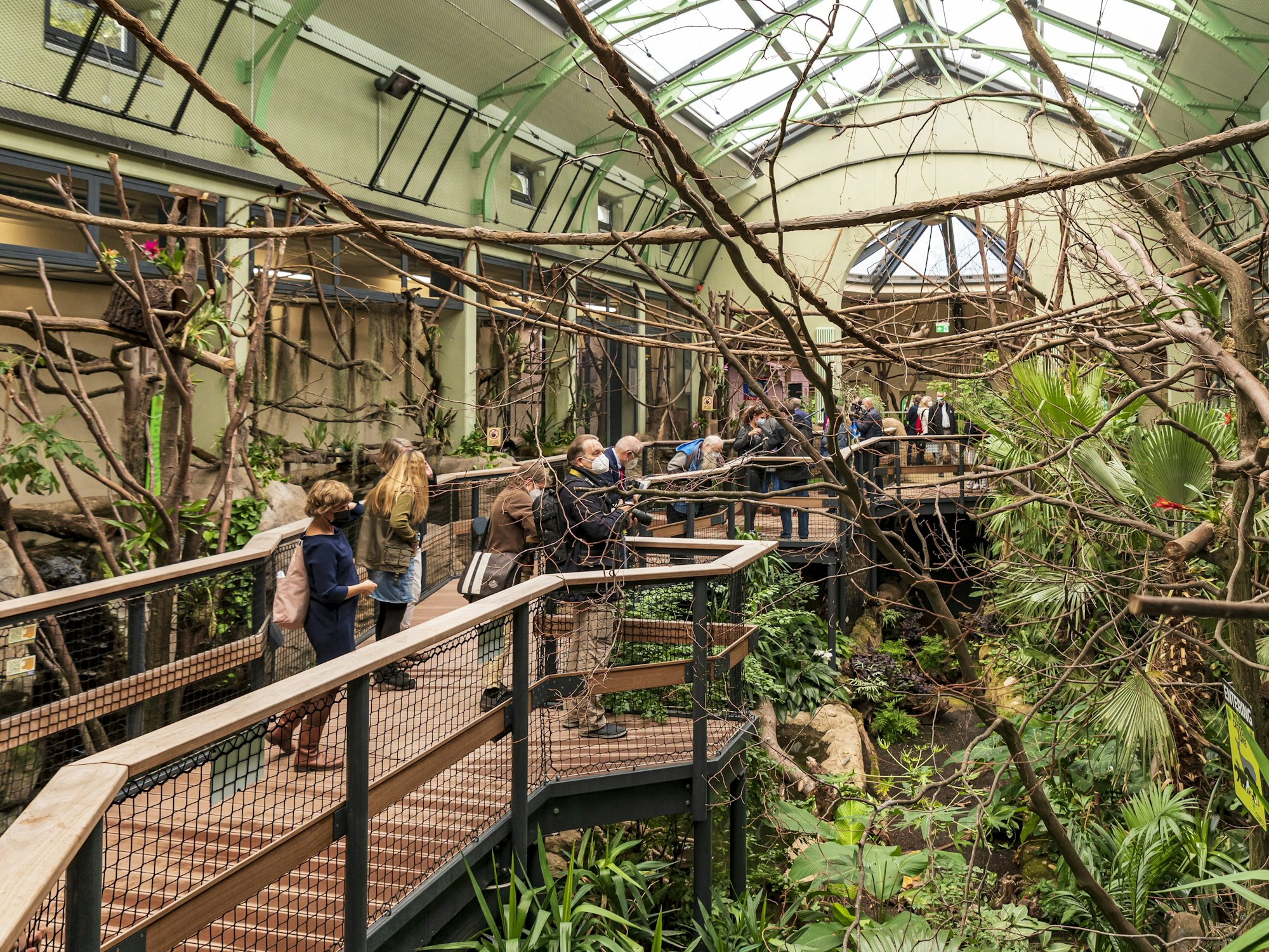 Holzstege führen durch die Dschungelerlebniswelt.