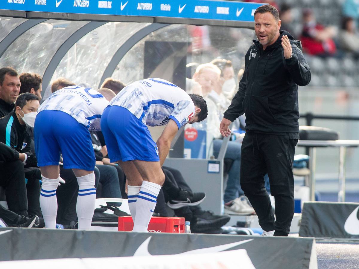 Pal Dardai trainiert Hertha BSC gegen den SC Freiburg.