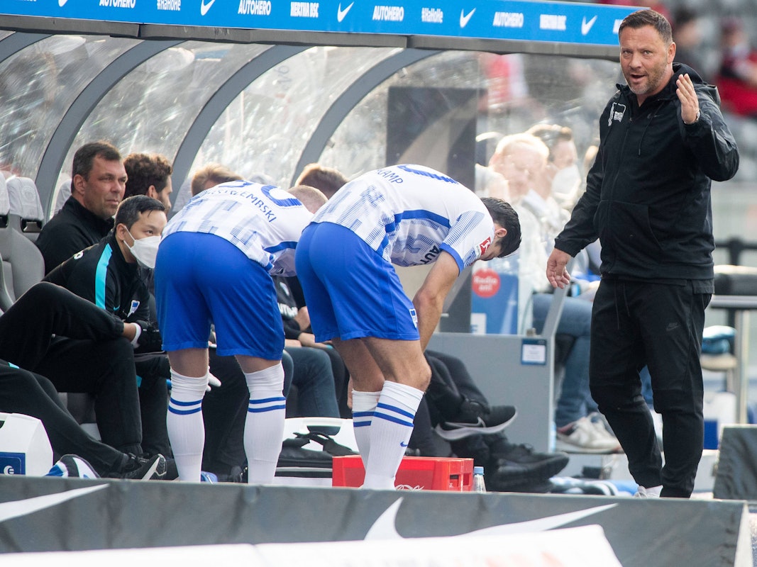 Pal Dardai trainiert Hertha BSC gegen den SC Freiburg.