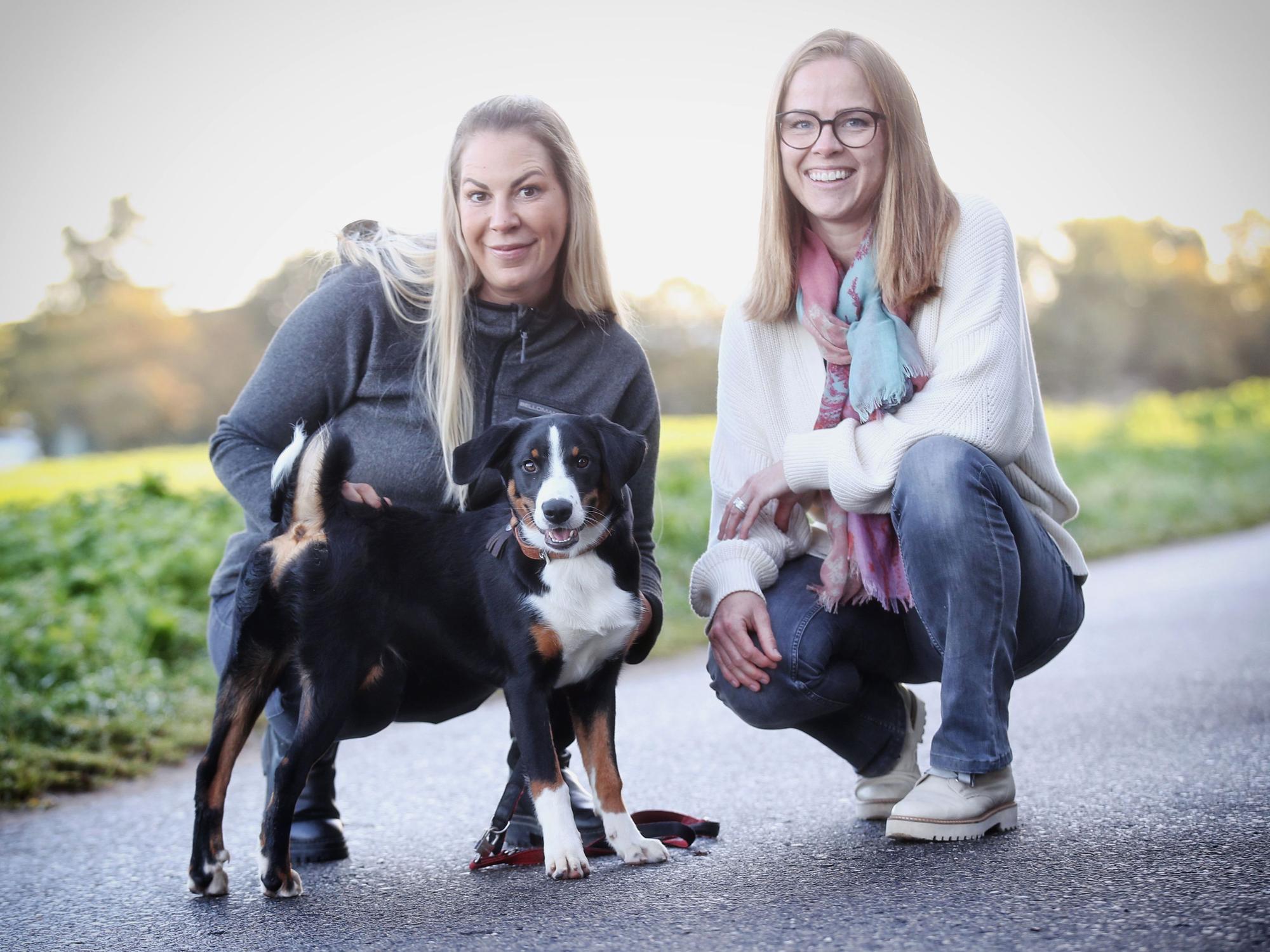 Hunde-Hort in Lank-Latum „Bellomania“
Robert-Bosch Strasse / Lank Latum
