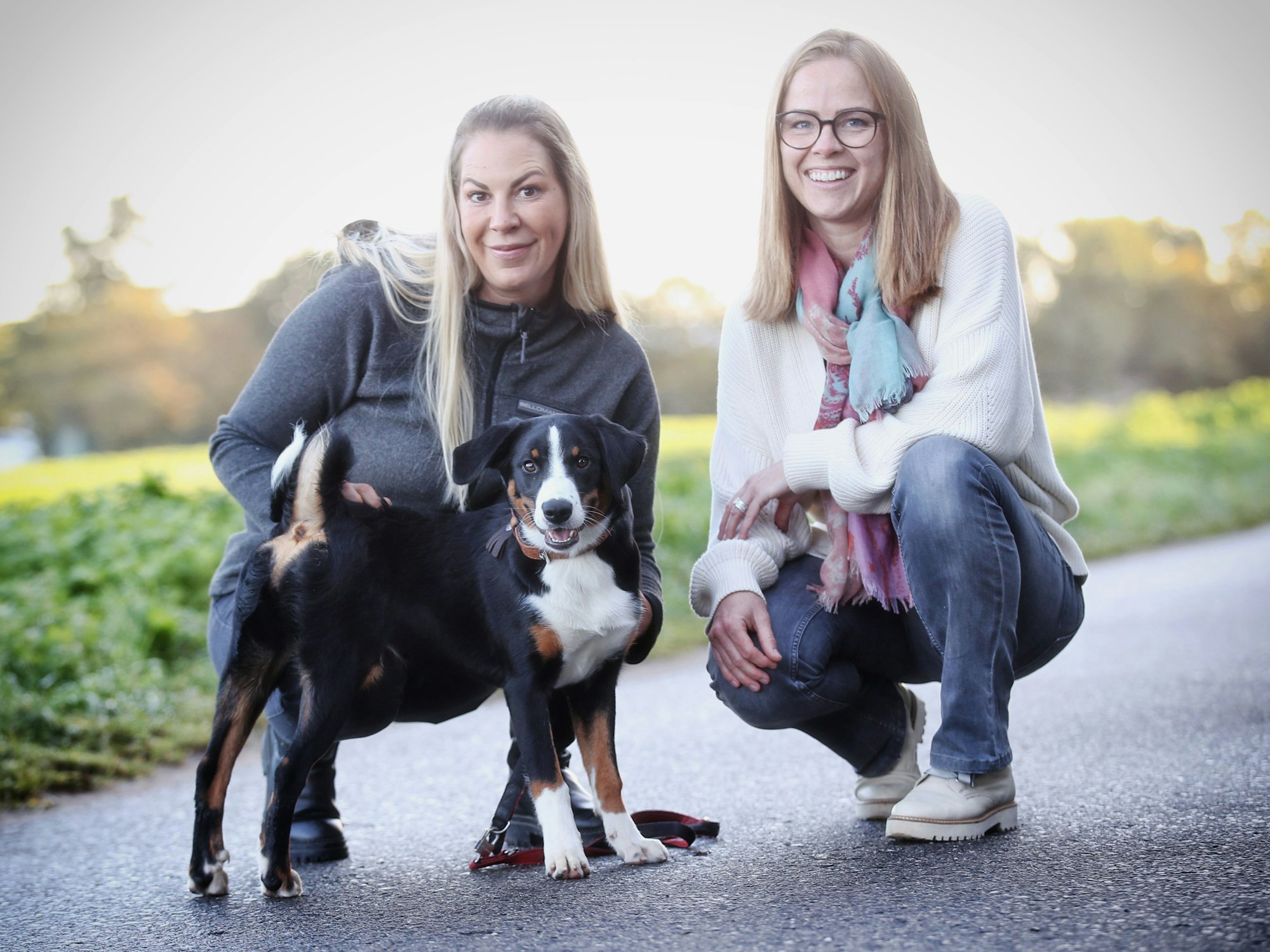 Hunde-Hort in Lank-Latum „Bellomania“
Robert-Bosch Strasse / Lank Latum