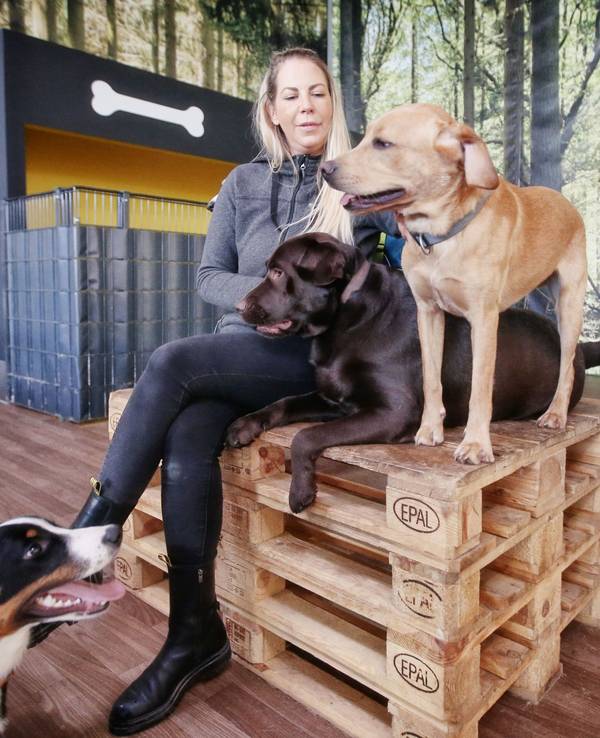 Hundetrainerin Linda Manteuffel sitzt auf einer Holzpalette, um sie herum sind Hunde.